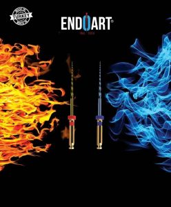 EndoArt Action Blue