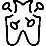 اندودنتیکس